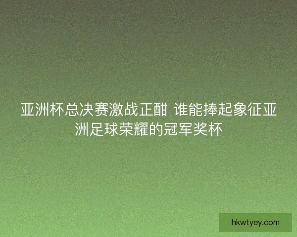 亚洲杯总决赛激战正酣 谁能捧起象征亚洲足球荣耀的冠军奖杯 亚洲杯总决赛激战正酣 谁能捧起象征亚洲足球荣耀的冠军奖杯